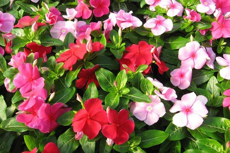 Температура