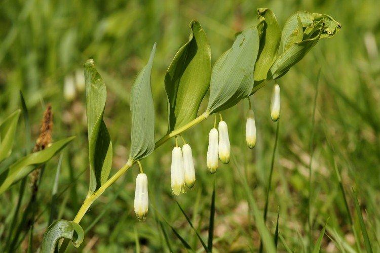 Общая информация