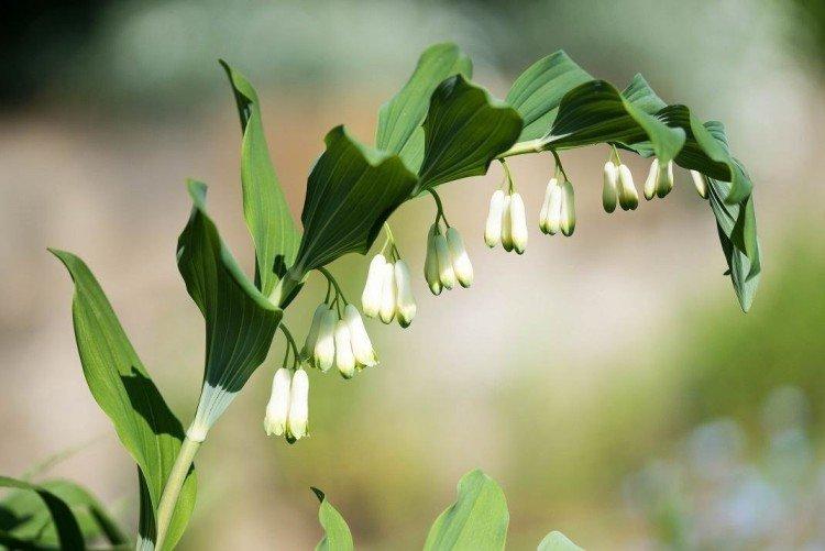 Температура