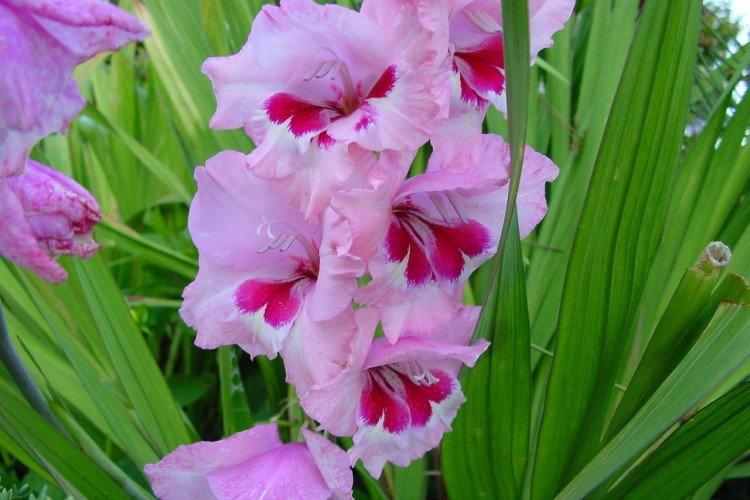 Общая информация