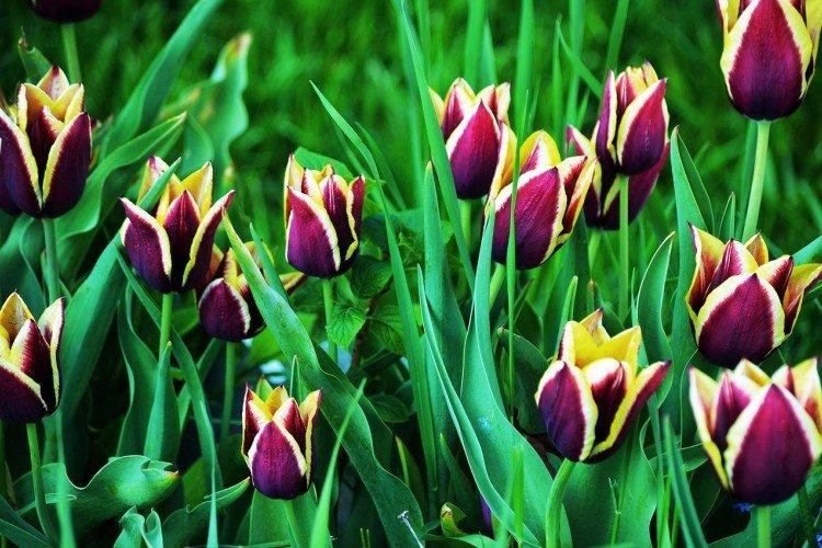 Общая информация