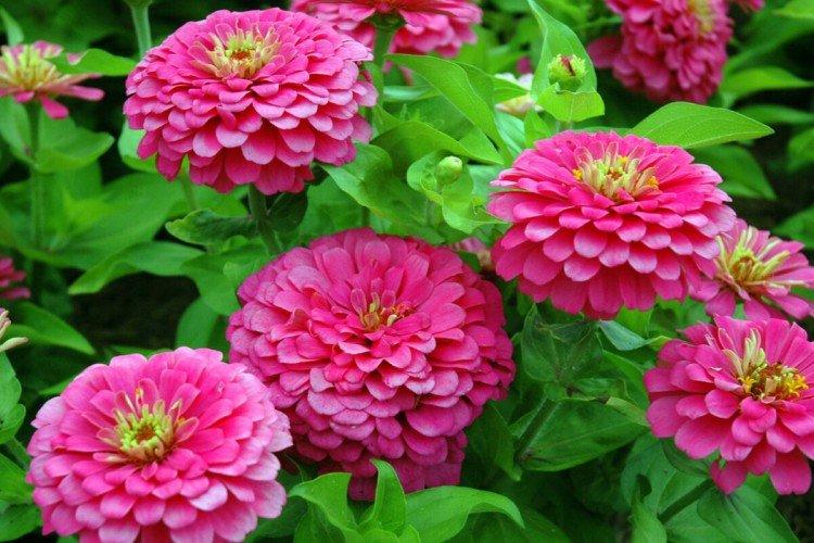 Температура