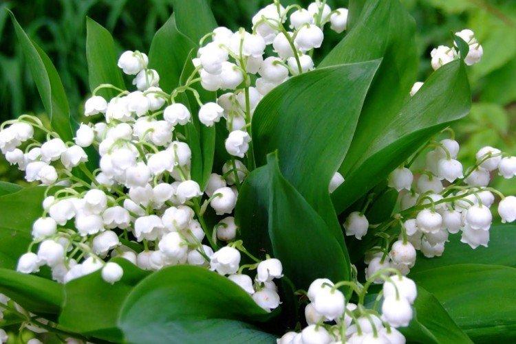 Безопасность