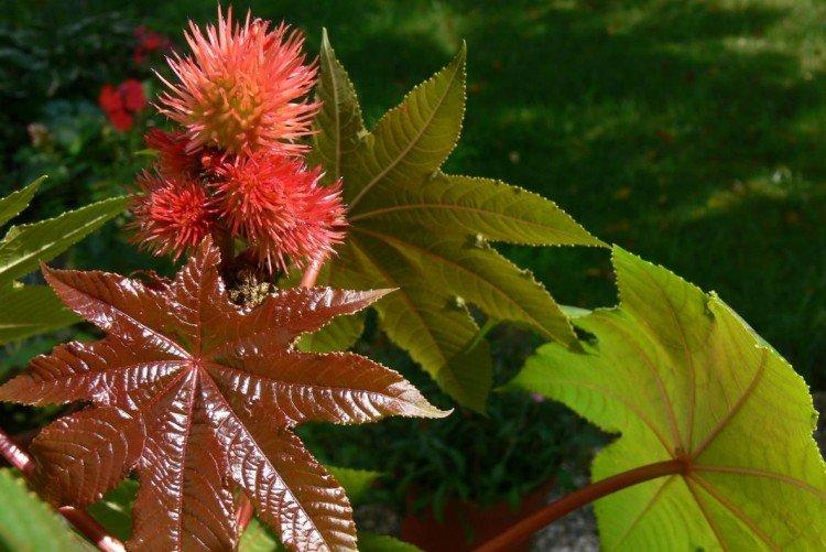 Температура