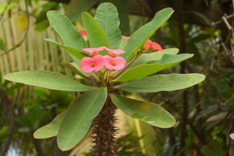 Общая информация