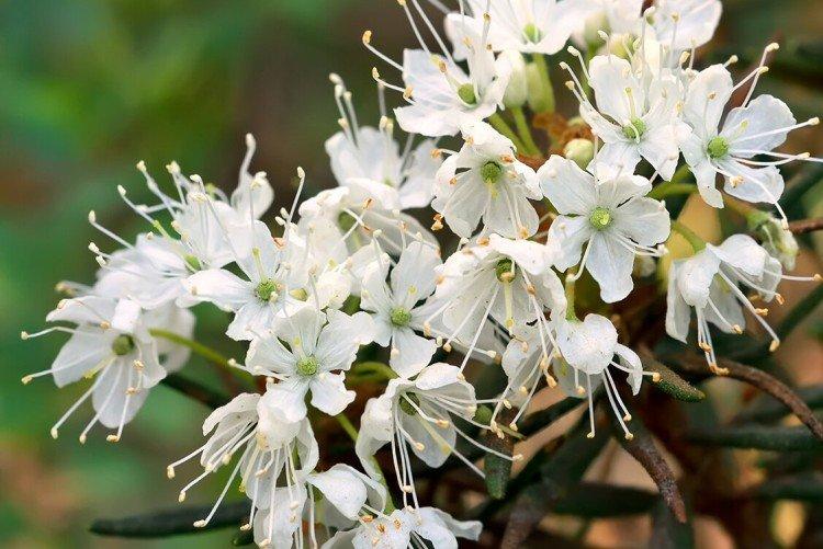 Общая информация