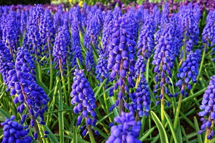 Общая информация