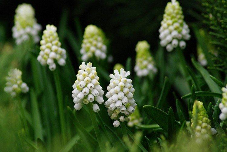 Прореживание