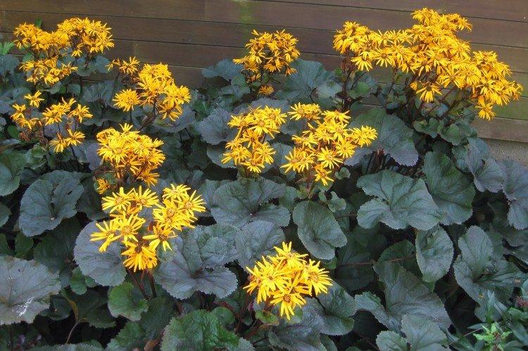 Общая информация