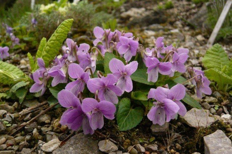 Общая информация