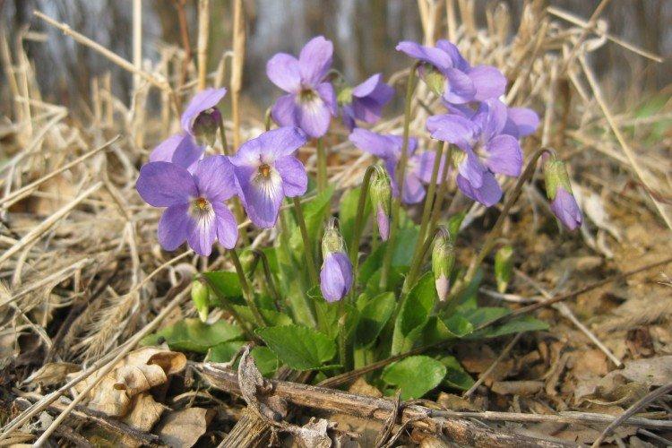 Температура и освещение