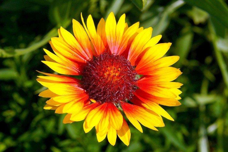 Температура и освещение