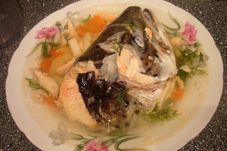 Уха из головы, хребта и хвоста семги