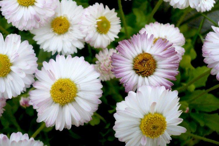 Общая информация