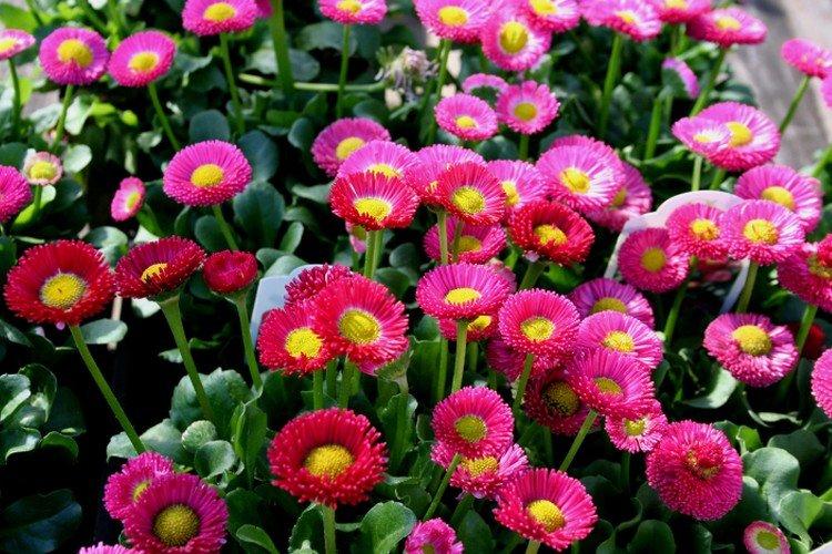 Температура