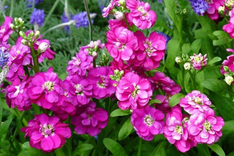 Общая информация