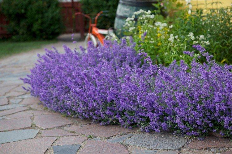 Температура и освещение