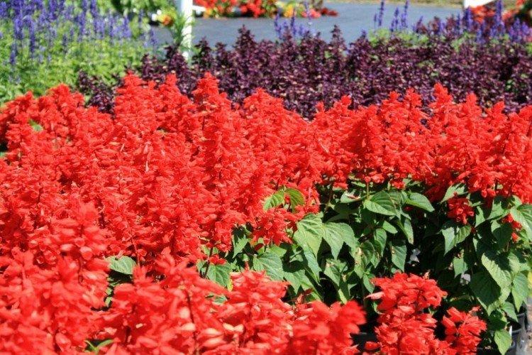 Температура и освещение