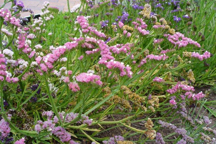 Температура и освещение