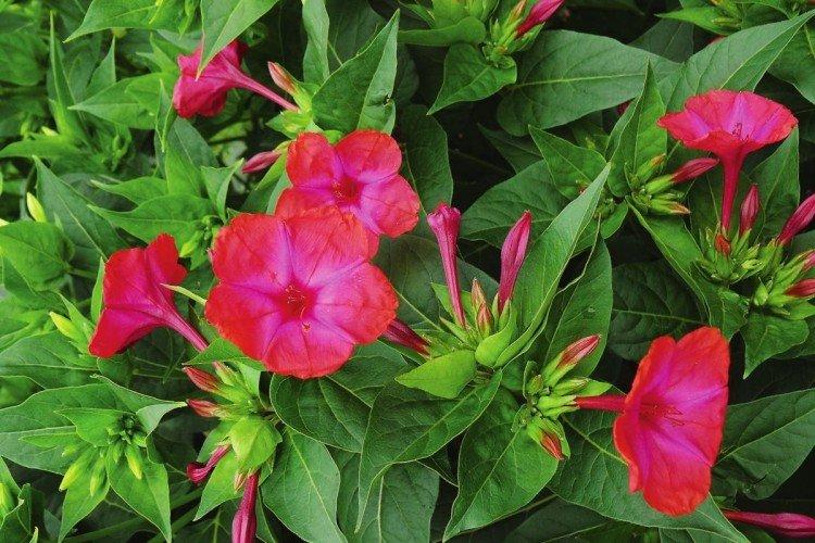 Общая информация