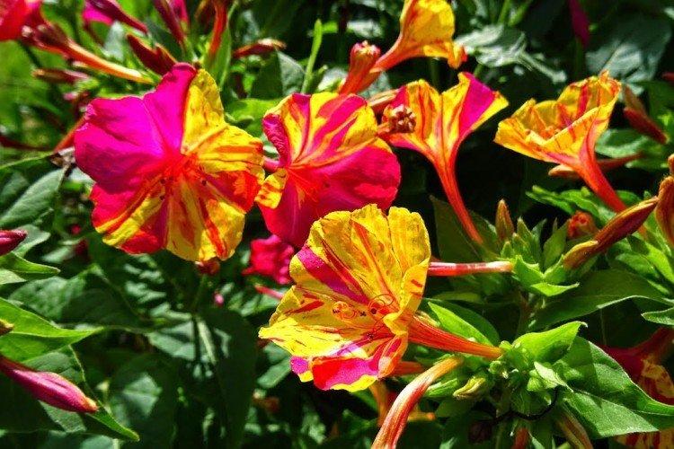 Температура и освещение