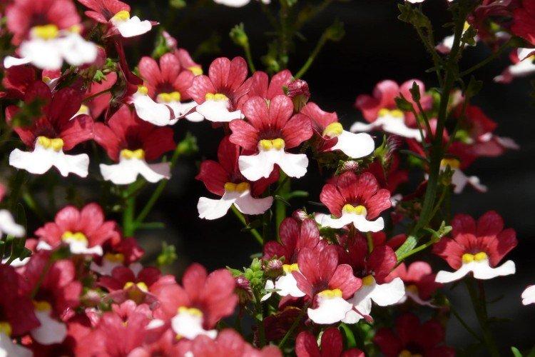 Общая информация