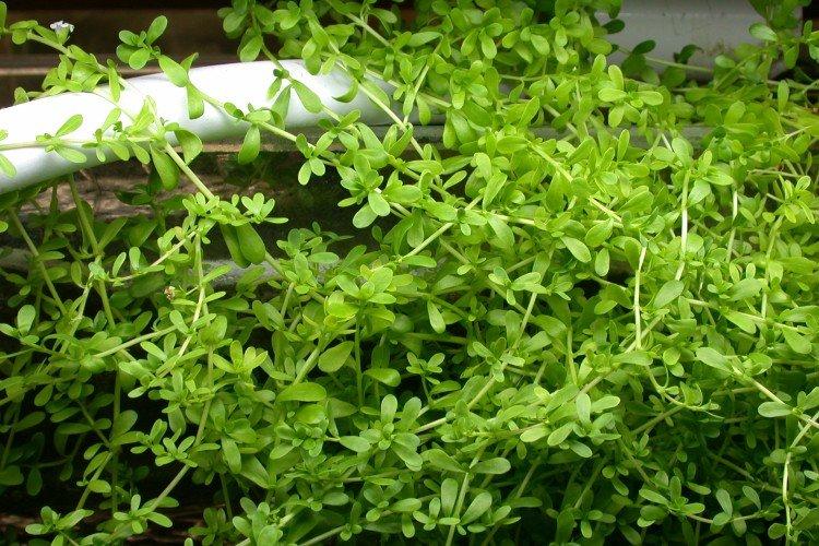 Температура и освещение