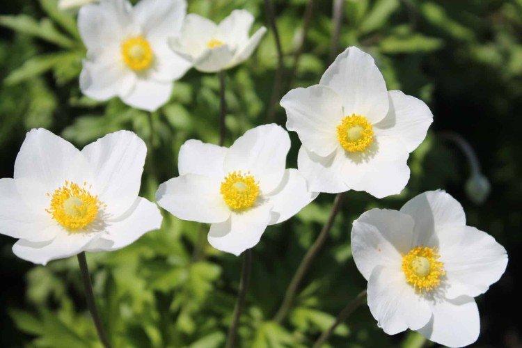 Общая информация