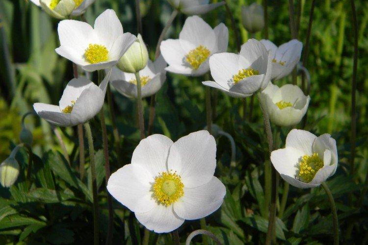 Температура и освещение