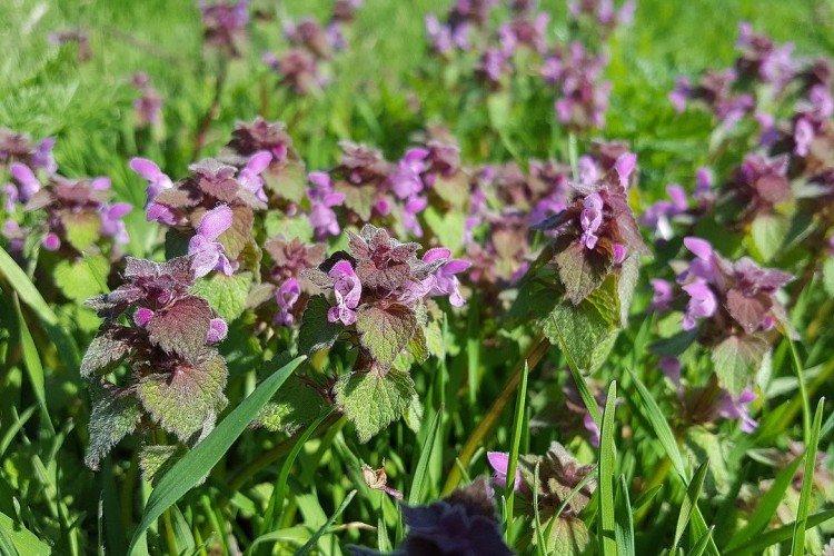 Общая информация