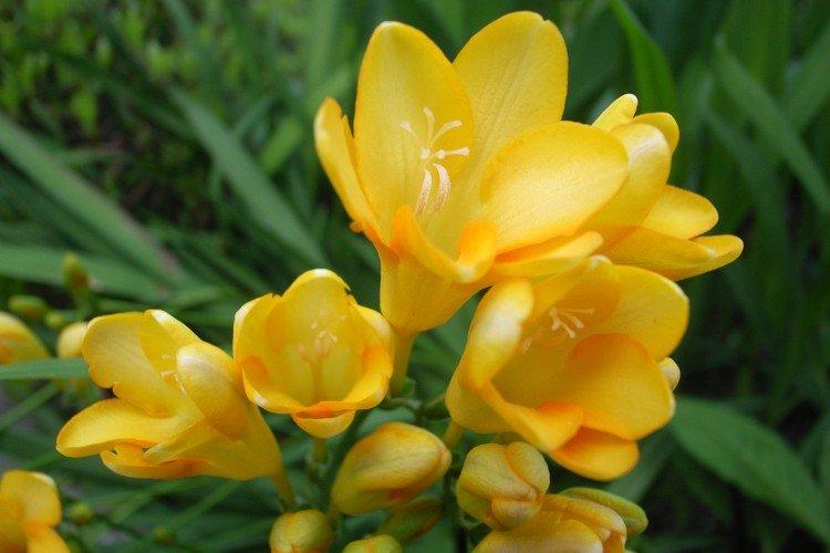 Общая информация