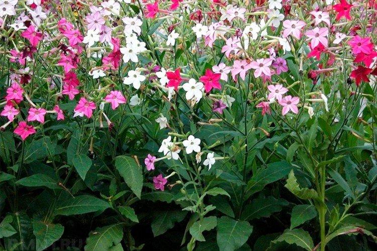 Температура и освещение