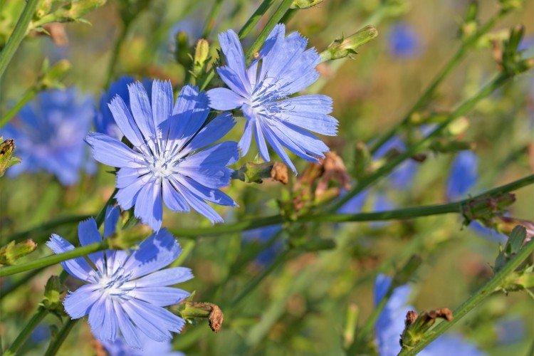 Общая информация