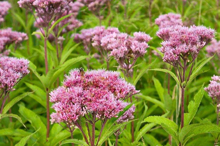 Температура и освещение