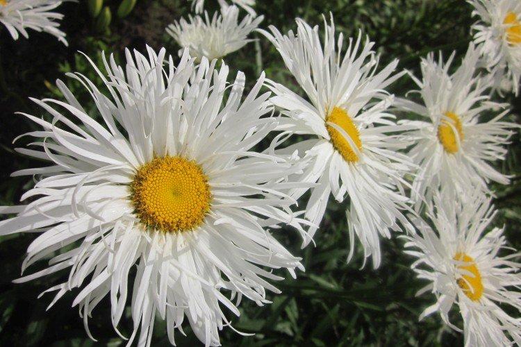 Температура и освещение