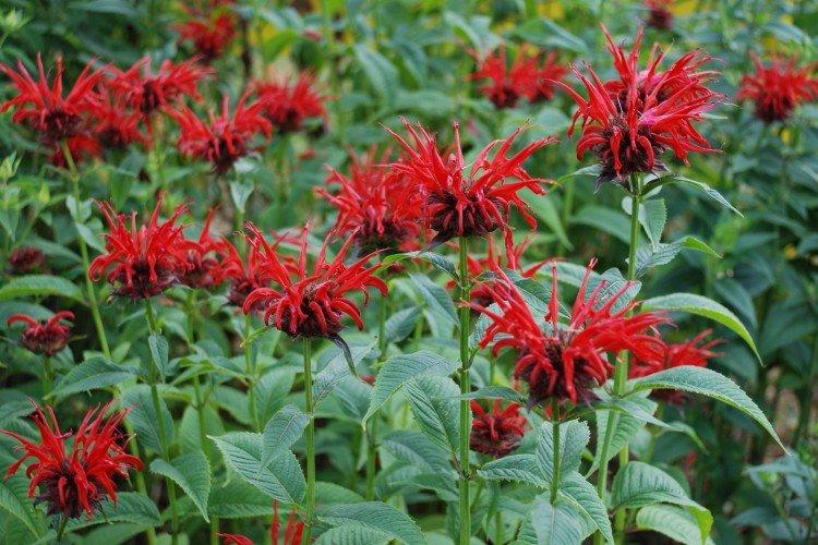 Общая информация