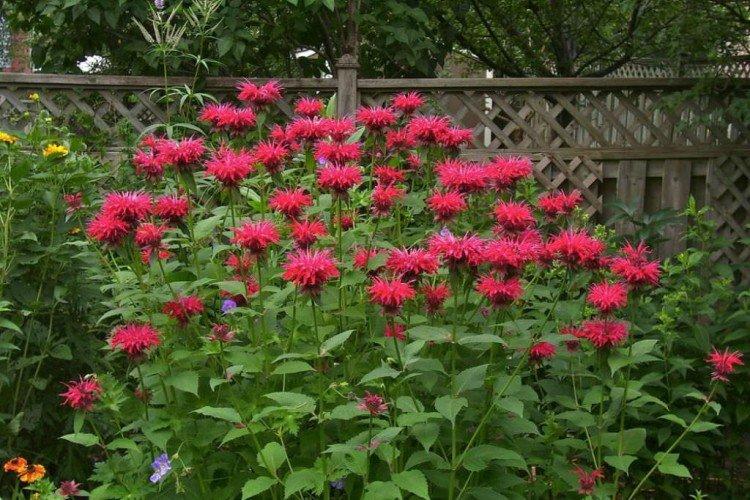 Температура и освещение