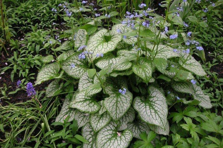 Общая информация