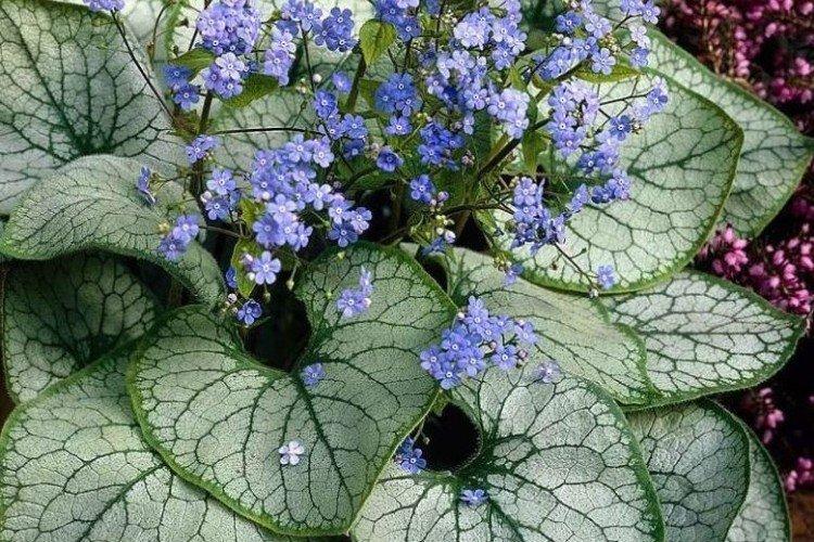 Температура и освещение