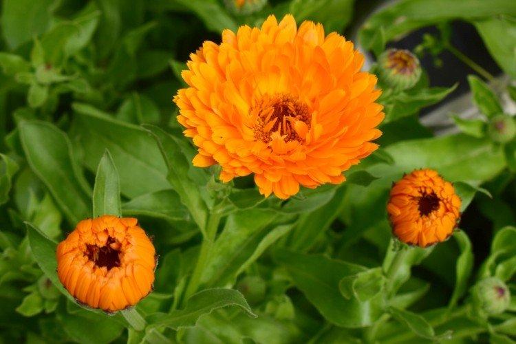 Температура и освещение