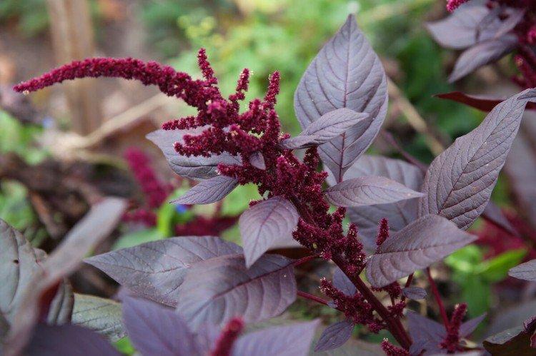 Общая информация