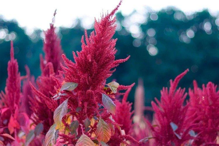 Температура и освещение