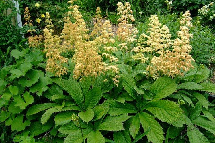 Общая информация