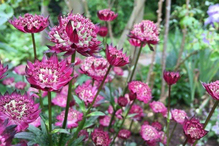 Общая информация