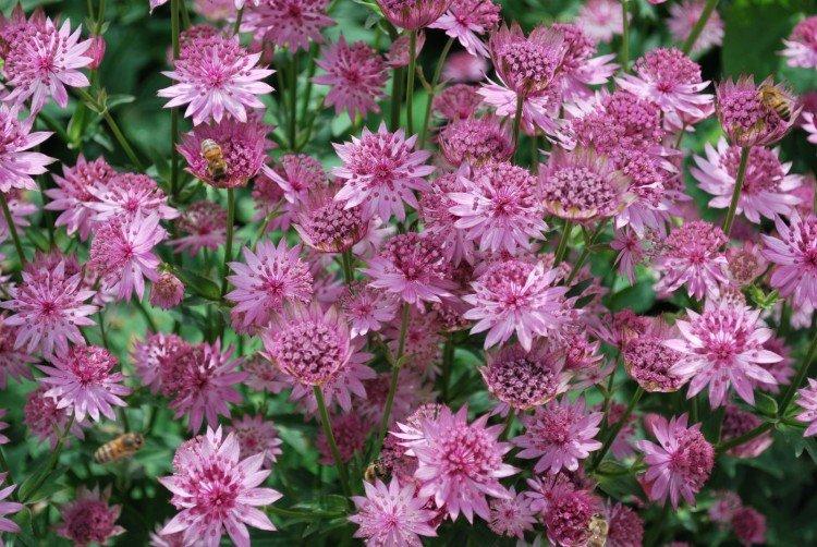 Температура и освещение