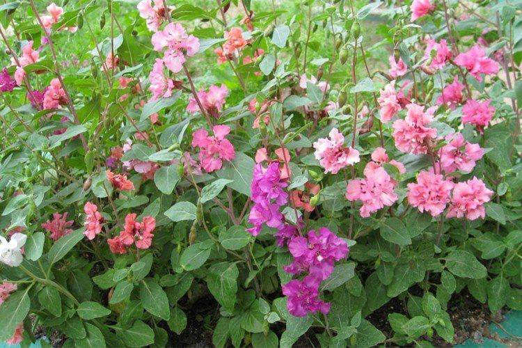 Температура и освещение