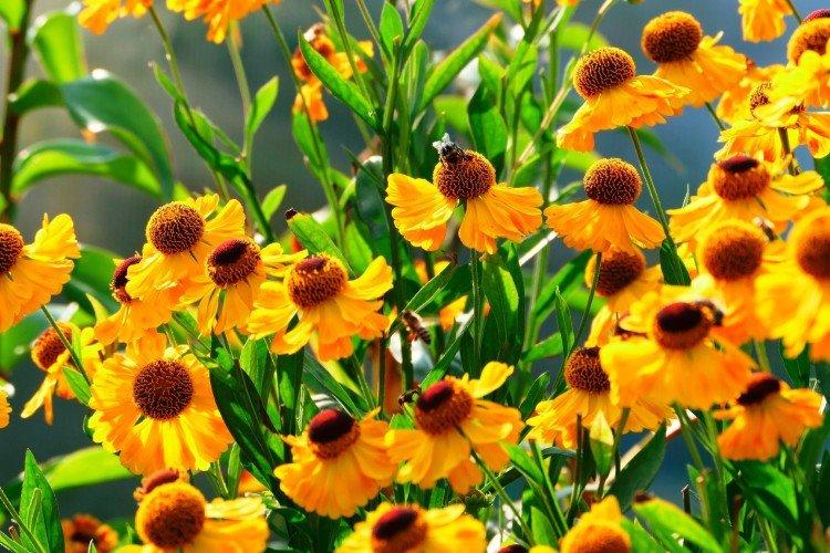 Общая информация