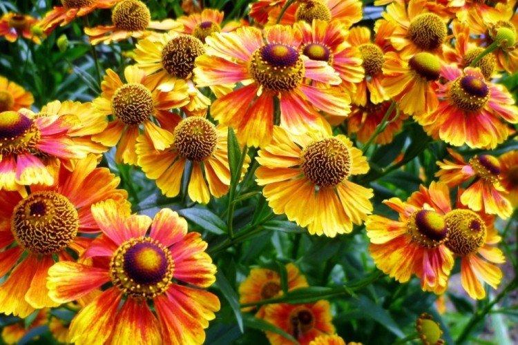 Температура и освещение