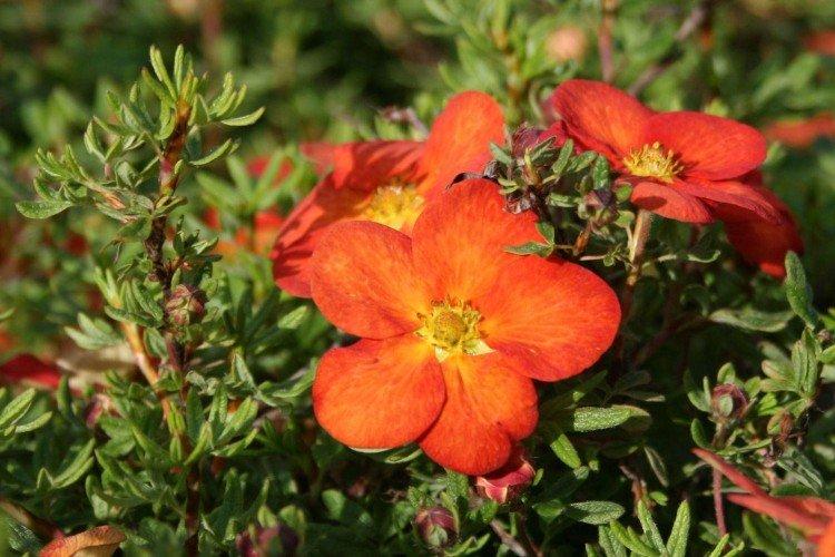 Температура и освещение