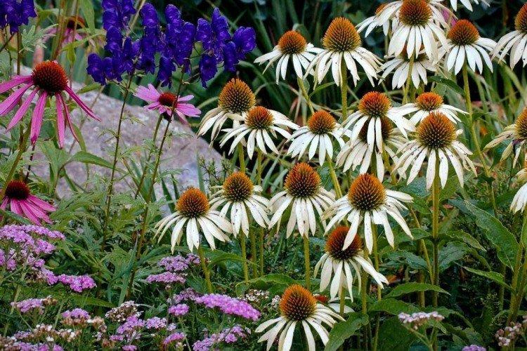 Удобрения и подкормка